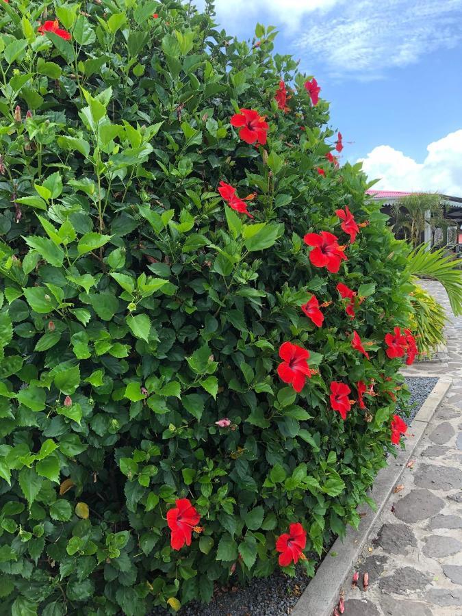 Lovely Apartment In Flic En Flac, Close To The Beach And All Amenities. Extérieur photo